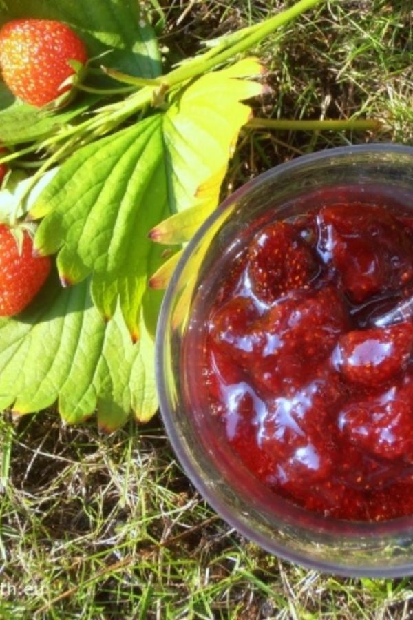 An image of a glass container with strawberry jam standing on grass with fresh strawberry fruit and leaves next to it.